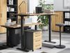 POLYGON Bureau à hauteur réglable électriquement 120 cm chêne grandson/noir