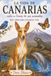 La Canarias La vida de Canarias vista a través de sus animales: Libro para colorear
