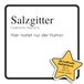 Salzgitter: Paperback, 106 pagina's, Anton Peters, FlipFlop