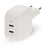 Nedis GaN-oplader | 45 W | PD3.0 | 2x USB-C™ | Wit - WGCHA45WWT