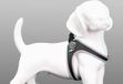 Tre Ponti Fibbia Reflecterend Zwart - tot 14 kilo