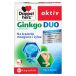 Doppelherz Ginkgo Biloba Kapseln Power pour le cerveau : favoriser la concentration et la performance mentale