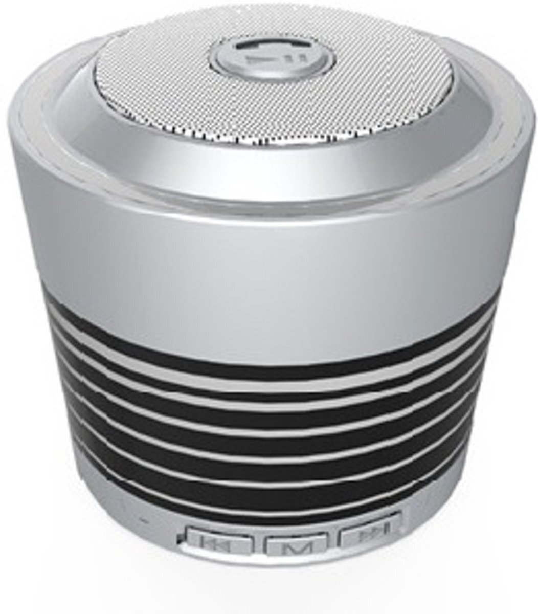 Evertech Bluetooth Stereo Speaker with FM Radio _ Silver zilver