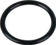 KS Tools 515.3250-R025P O-ring