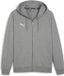 PUMA Teamgoal Casuals sweatshirt met capuchon voor heren