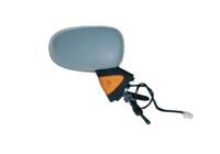 Alkar 6126170 Complete achteruitkijkspiegel mechanisch, convex, temperatuursensor, schilder, met knipperlicht