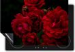 Chefcare Inductie Beschermer Rode Bloemen 78x78cm - Inductie Mat