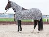 Harry's Horse Vliegendeken Mesh - Zebra Gray - 145cm