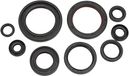 Winderosa 822352 Motorolie Seal Kit