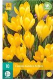 Jub X 10 Crocus Golden Yellow
