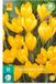 Jub X 10 Crocus Golden Yellow