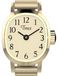 Timex TW2Y70800 horloge, goudkleurig