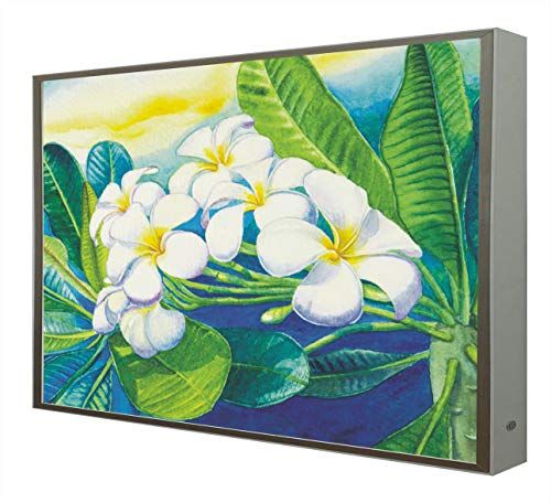 CCRETROILUMINADOS Afbeelding met houten frame gelakt in wit verlicht met licht LED Plumeria - 0650414080312