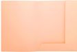 Exacompta 5x SUPER 210 - pak van 50 dossiermappen + 2 kleppen - 24x32cm - Gems