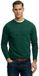 Superdry 1954 Company Relaxed Fit Sweatshirt Green 2XL Man