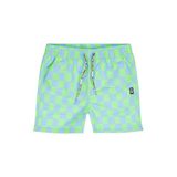 Tumble 'n Dry zwemshort geruit blauw / groen