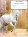 UNICORN PRIMARY COMPOSITION NOTEBOOK