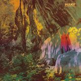PIAS Nederland Wake - Thought Form Descent (LP)