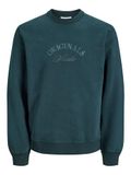 JACK&JONES JORBLEECKER BRANDING SWEAT CREW BF Heren Forest River S