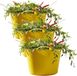 Excellent Houseware Flexibele kuip / emmer - 3x - geel - 15 liter - kunststof - 35 x 28 cm - met handvatten