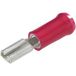 TE Connectivity 9-160483-1 Platte stekker (female) Insteekbreedte: 4.8 mm Insteekdikte: 0.8 mm 180 ° Deels geïsoleerd Rood 1 stuk(s)