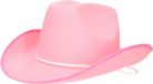 Merkloos / Sans marque Carnaval verkleed cowboyhoed - roze - vilt - volwassenen