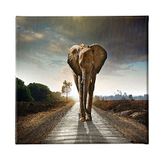 Homemania Afbeelding olifant dieren, voor woonkamer, slaapkamer, meerkleurig, 60 x 3 x 60 cm, HM20KNV60 x 60 – 21, polyester, hout