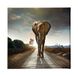Homemania Afbeelding olifant dieren, voor woonkamer, slaapkamer, meerkleurig, 60 x 3 x 60 cm, HM20KNV60 x 60 – 21, polyester, hout