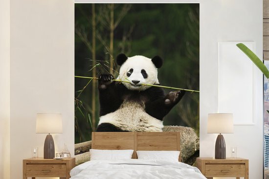 Nr1Wallpaper Behang - Fotobehang Panda - Bamboe - Bos - Breedte 155 cm x hoogte 240 cm