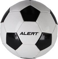 Voetbal Wit/Zwart Maat 5 - 19cm