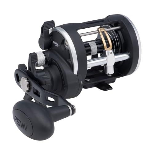 PENN Rival Level Wind - Conventionele Visserijmolen - HT-100 - 6,8 kg - 20