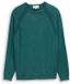 Tom Tailor Gebreide trui van katoen Maat XXXL Deep Meadow Green