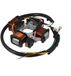 Rms Classic Piaggio Ciao 293814 Stator Argent