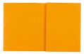 Exacompta - Ref. 32129E - Pak van 10 notitieboekomslagen 17x22 cm in echt glanzend karton met tekstveld - Ideaal voor school, universiteit en universiteit - Geel