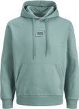 JACK&JONES JJCORP GRAPHIC SWEAT HOOD LN Heren Trui