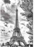 Dino puzzle Eiffeltoren noir et blanc - 500 pièces puzzle