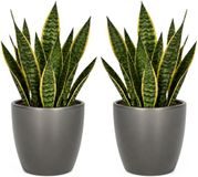 Floran Bloempot Boule - 2x - metallic - zilver - keramiek - D22 x H19 cm