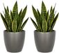 Floran Bloempot Boule - 2x - metallic - zilver - keramiek - D22 x H19 cm