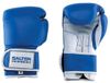 Salter Gants de boxe 10oz Bleu