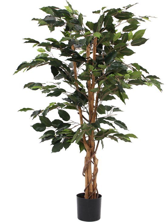 Mica Decorations Ficus Kunstplant - H110 cm - Groen