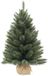 Triumph Tree Forest Frosted Kunstkerstboom H60 x D46 cm