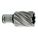 Metabo HSS Kernboor 21x30 mm, Weldon Schacht 19 mm (3/4") - 1 Stuk