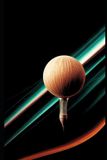The Independently Published The Agentic Manifold Paperback