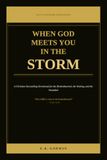 When God Meets You in the Storm: A Christian Storytelling Devotional for the Brokenhearted, the Waiting, and the Wounded