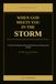 When God Meets You in the Storm: A Christian Storytelling Devotional for the Brokenhearted, the Waiting, and the Wounded