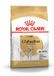 Royal Canin Alimentation Chien Sec Chihuahua Adulte 6 x 1,5 kg