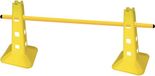 Toorx Fitness AHF-172 Set van 10 trainingsstangen 170 cm voor agility cones