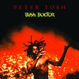 Peter Bush Doctor/Vinyle Noir Audiophile 180gr