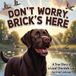 Don't Libri GmbH Don't Worry, Brick's Here Paperback