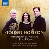 Golden Naxos Golden Horizon: Works For Horn And Orchestra by Richard Strauss (CD)